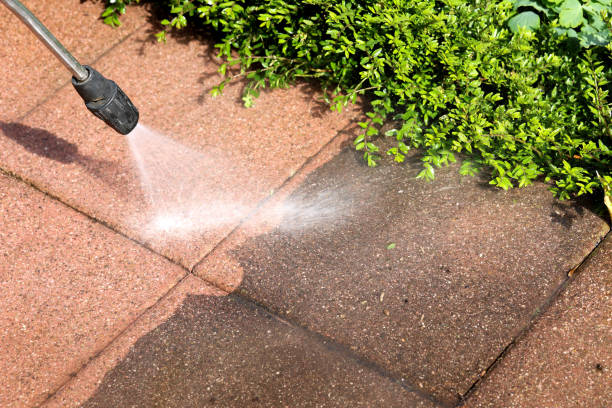 Roof Power Washing Services